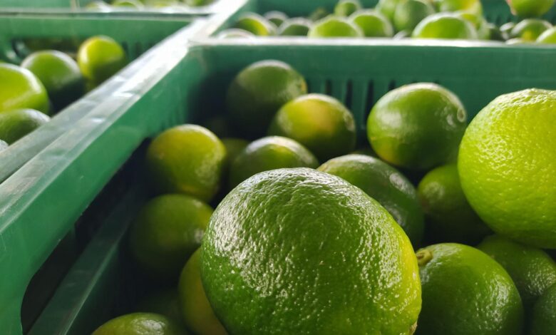 Photo of Supermercados restringen venta de limón a consumidores: solo permiten que clientes compren hasta 2 kilos por familia